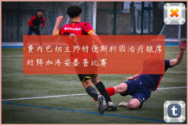 费内巴切主帅特德斯科因治疗缺席对阵加济安泰普比赛