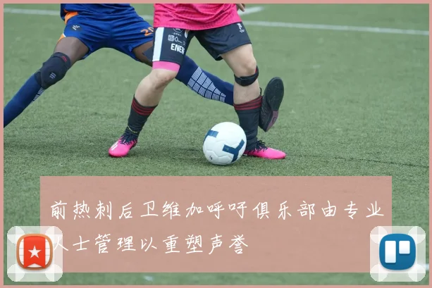 前热刺后卫维加呼吁俱乐部由专业人士管理以重塑声誉
