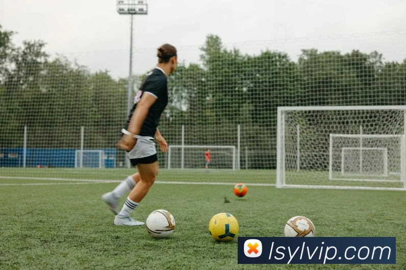 App Interface Preview